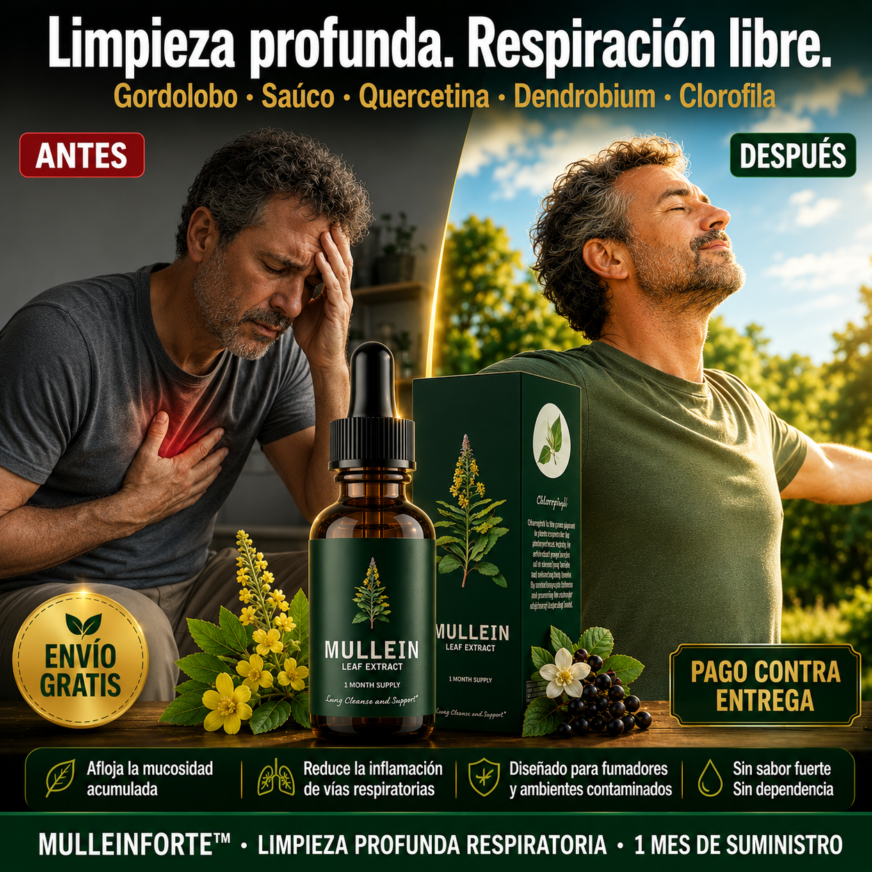MulleinForte® | Respira Profundo Otra Vez, Sin Presión en el Pecho ni Falta de Aire